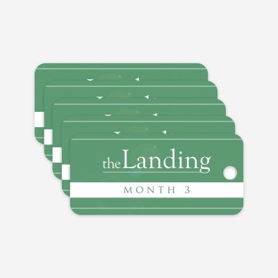The Landing - Month 3 Milestone Marker (5 Pack)