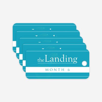 The Landing - Month 6 Milestone Marker (5 Pack)