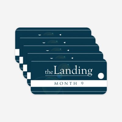 The Landing - Month 9 Milestone Marker (5 Pack)